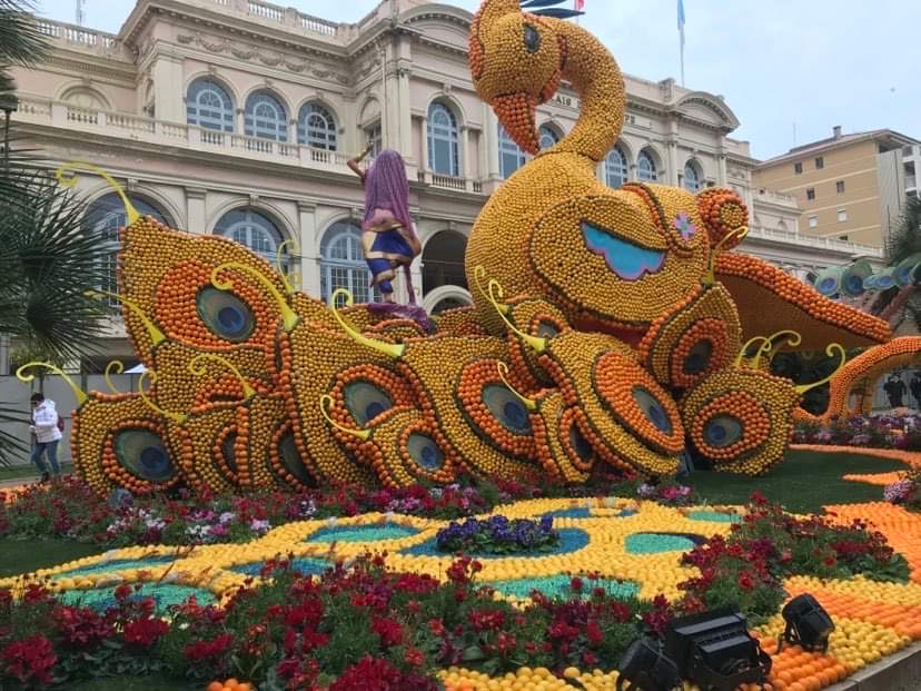 Lemon festival wonders