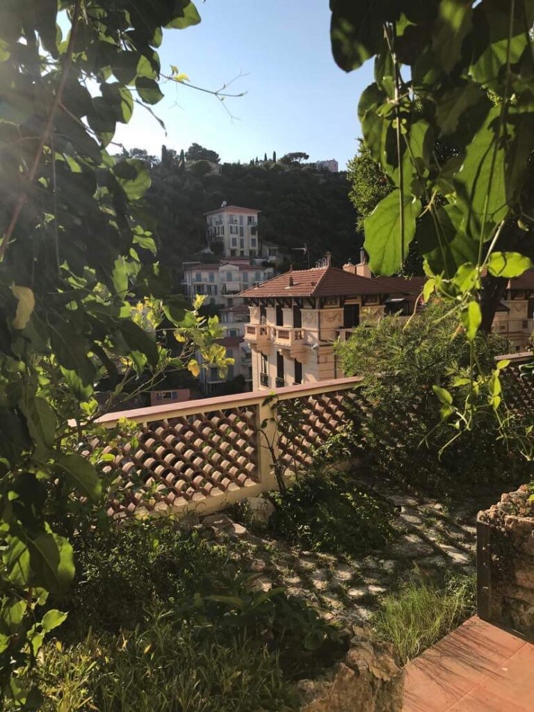 View from terrace